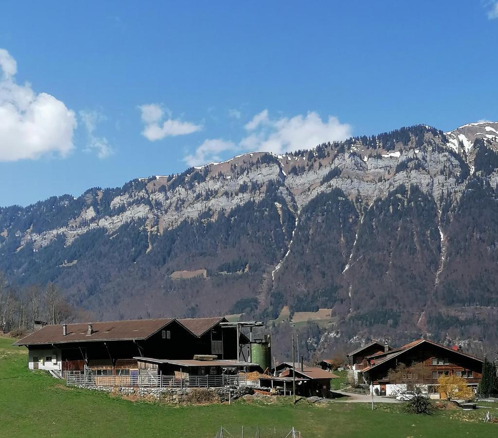 Appartement Brunners Harzerhof *