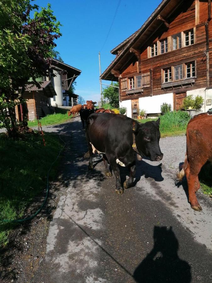 Brunners Harzerhof Iseltwald
